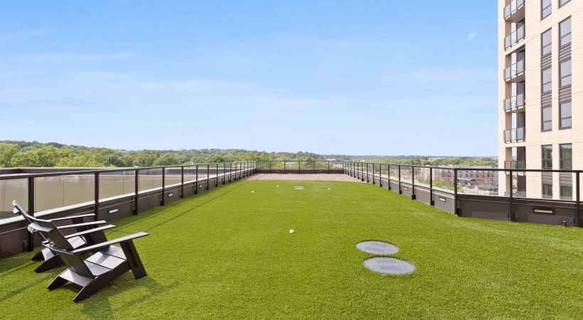 The Berkman Social Dogs